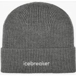 Icebreaker All Day Toque beanie Gritstone – Hledejceny.cz