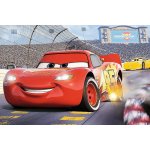 Trefl 14250 Cars 3 24 dílků – Hledejceny.cz