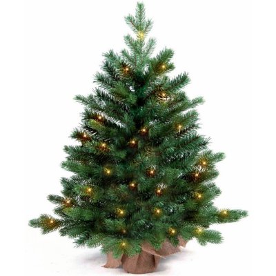 LAALU Vánoční stromek v květináči s LED osvětlením - jedle BERNARD, 60 cm – Sleviste.cz