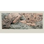 Back To Nature pozadí Rocky 130 x 50 cm – Sleviste.cz