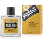 Proraso Wood & Spice balzám na vousy 100 ml – Zboží Dáma
