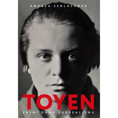 Toyen - Andrea Sedláčková – Hledejceny.cz