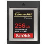 SanDisk SDC 256G SDCFE-256G-GN4NN – Zbozi.Blesk.cz