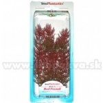 Tetra Myriophyllum heterophyllum - Red Foxtail 23 cm – Zboží Mobilmania