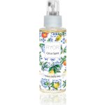RYOR Citrus Spirit tělový suchý olej sprej 100 ml – Zboží Dáma