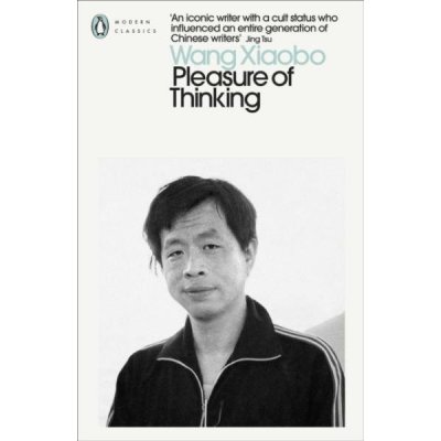 Pleasure of Thinking - Wang Xiaobo