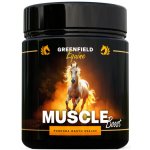 Greenfield Equine Muscle Boost zdravý růst svalů síla a kondice na přirozené bázi 1,5 kg – Sleviste.cz