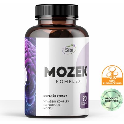 Mozek komplex houbové extrakty 90 kapslí 500 mg – Hledejceny.cz