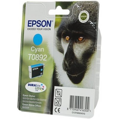 Epson C13T089240 - originální – Zbozi.Blesk.cz