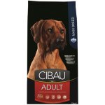 Cibau Dog Adult Maxi 12 kg – Hledejceny.cz