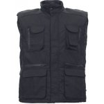 Cerva Davida vesta zateplená černá – Hledejceny.cz