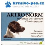 Werfft Chemie Arthro Norm 45 tbl – Zboží Mobilmania