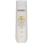 Goldwell Dualsenses Rich Repair Shampoo 250 ml – Zbozi.Blesk.cz