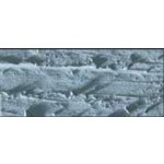 Caran d´Ache Neopastel olejový pastel 004 steel grey – Zboží Mobilmania