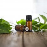 LHF esenciální olej Green Tea 10 ml – Hledejceny.cz