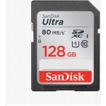 SanDisk SDXC 128 GB SDSDUNR-128G-GN3IN – Zboží Živě