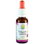 Salvia Paradise Ostropestřec mariánský AF tinktura 30 ml – Hledejceny.cz