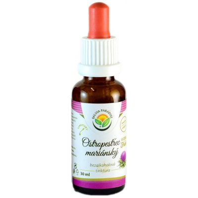 Salvia Paradise Ostropestřec mariánský AF tinktura 30 ml – Hledejceny.cz