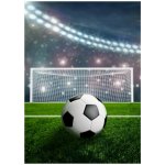 BrandMac Fleecová deka s motivem Fotbalové hřiště – Zboží Mobilmania