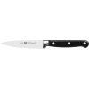 Kuchyňský nůž Zwilling 31020-101-0 10 cm