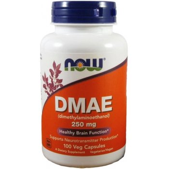 Now Foods DMAE dimetylaminoetanol 250 mg 100 kapslí