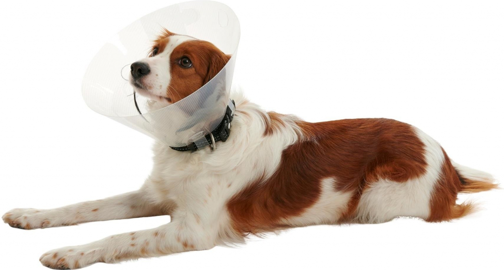 Kruuse Buster Clic Collar Plastový ochranný límec 30 cm od 161 Kč