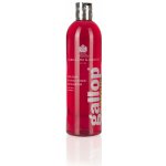 CARR&DAY&MARTIN Gallop Colour Šampon pro hnědáky 500 ml – Zboží Dáma
