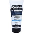 Přípravek proti šedivění vlasů Delia Cosmetics Cameleo Men šampon proti šedivění tmavých vlasů (Quality) 150 ml