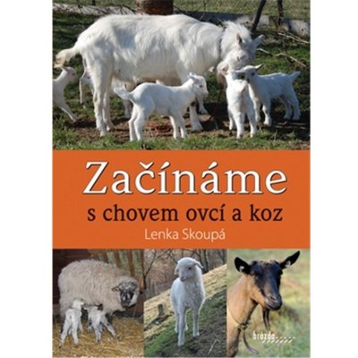 Začínáme s chovem ovcí a koz