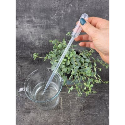 Pipeta 10ml – Zboží Dáma
