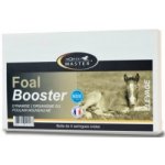 Horse MASTER Foal Booster Paste 15 ml – Hledejceny.cz