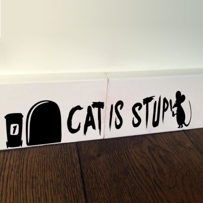 U Foťáka Samolepky na stěnu Myši Cat is stupid 5 2x22cm – Zbozi.Blesk.cz