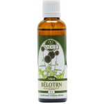 Naděje Bělotrn kulatohlavý T1 tinktura 50 ml – Hledejceny.cz