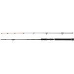 Penn Regiment IV Spin Pilk 2,40 m 100-250 g 2 Díly – Zboží Dáma
