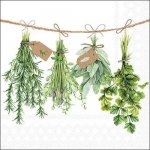 Ambiente Europe BV Ubrousek 33x33cm Sušení bylinek – Zboží Dáma