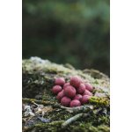 DK Fishing Power Attract 5 kg 20 mm Jahoda – Sleviste.cz