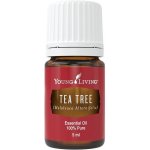 Young Living Melaleuca Alternifolia Tea tree esenciální olej 5 ml – Hledejceny.cz