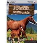 Hřebčín U Bílého potoka – Zboží Dáma