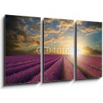 Obraz 3D třídílný - 90 x 50 cm - Vibrant Summer sunset over lavender field landscape Vibrantní letní západ slunce nad levandule krajiny – Hledejceny.cz