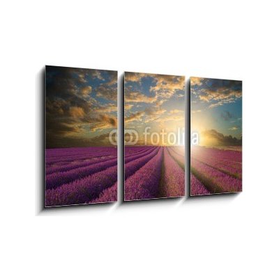 Obraz 3D třídílný - 90 x 50 cm - Vibrant Summer sunset over lavender field landscape Vibrantní letní západ slunce nad levandule krajiny – Hledejceny.cz