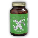 BrainMax Quercetin & Bromelain Kvercetin a Bromelain 100 rostlinných kapslí – Hledejceny.cz