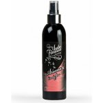 Auto Finesse Spray Air Freshener Candy Floss – Hledejceny.cz