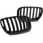 PŘEDNÍ MASKA, LEDVINKY BMW X5 E53, 2004-2006, ČERNÝ LESK, GRBMB8 – Hledejceny.cz