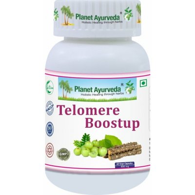 Planet Ayurveda Telomere Boostup – Dlouhověkost, Podpora telomer – 500 mg, 60 kapslí – Hledejceny.cz