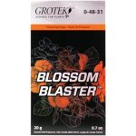 Grotek Blossom Blaster 20 g – Hledejceny.cz