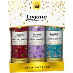 Laguna Parfém na prádlo Domov 3 x 300 ml – Zboží Dáma