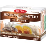 Houbové Quarteto s reishi kapslí 60 – Hledejceny.cz