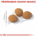 Royal Canin Protein Exigent 400 g – Hledejceny.cz