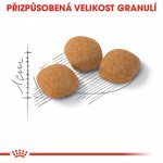 Royal Canin Protein Exigent 0,4 kg – Sleviste.cz
