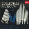 Hudba Collegium Musicum – Collegium Musicum. Hommage a J.S. Bach MP3
